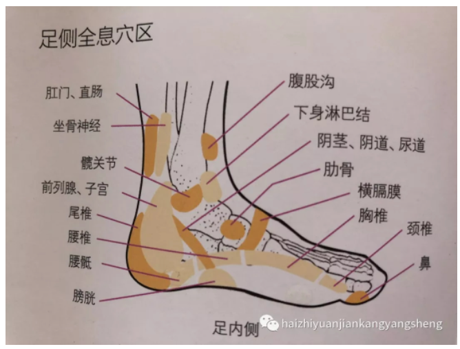 颈椎病调理案例分享：环境论为指导，第三掌骨诊断刮痧辨