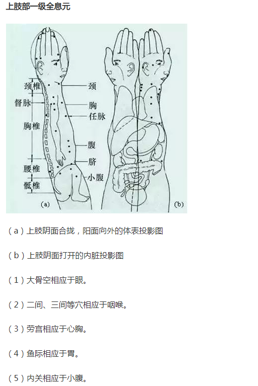 人体全息反射区图集锦：窥一斑而知全豹