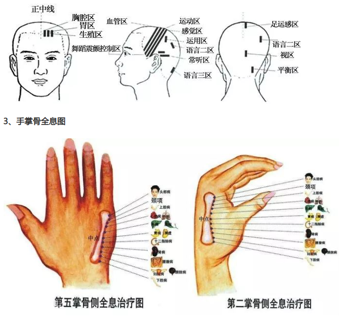 人体全息反射区图集锦：窥一斑而知全豹