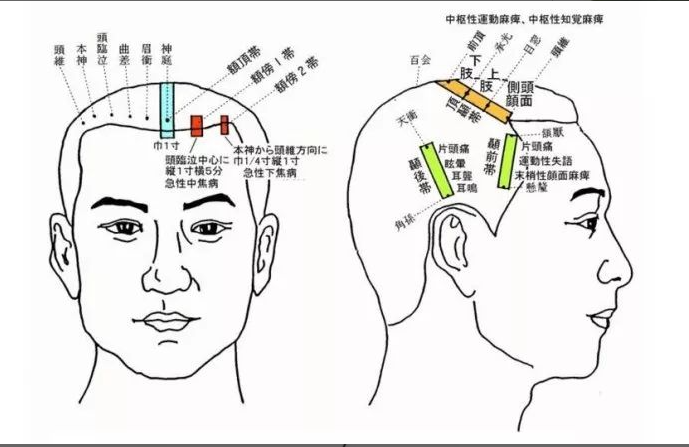 人体全息反射区图集锦：窥一斑而知全豹2