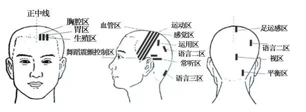 人体全息反射区图集锦：窥一斑而知全豹2