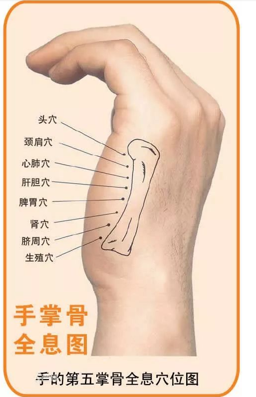 人体全息反射区图集锦：窥一斑而知全豹2