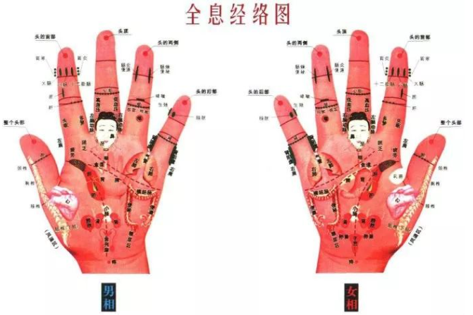 人体全息反射区图集锦：窥一斑而知全豹2