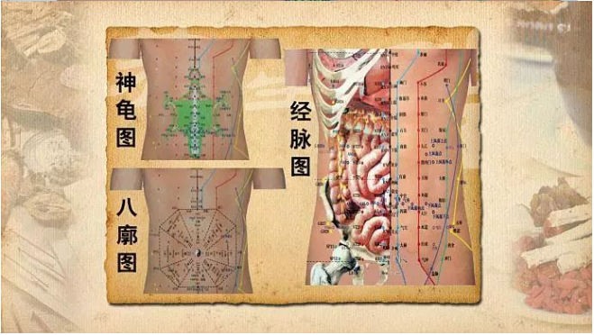 人体全息反射区图集锦：窥一斑而知全豹2