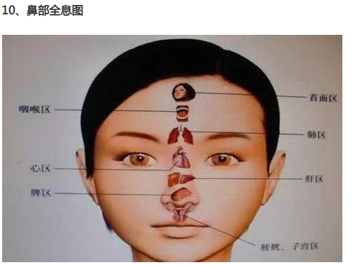 人体全息反射区图集锦：窥一斑而知全豹2