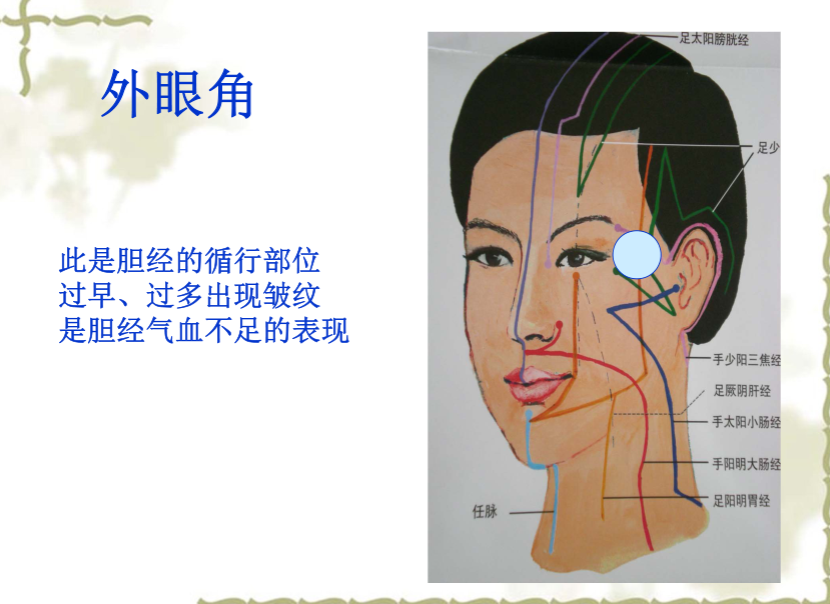 面部望诊与面部刮痧诊断2