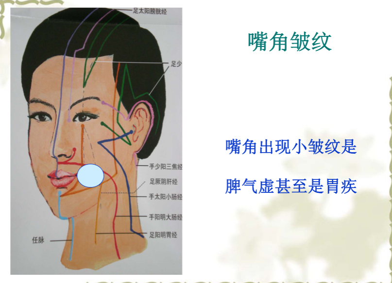 面部望诊与面部刮痧诊断2