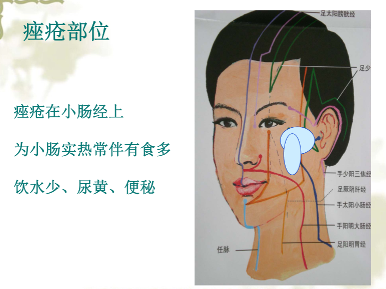 面部望诊与面部刮痧诊断2