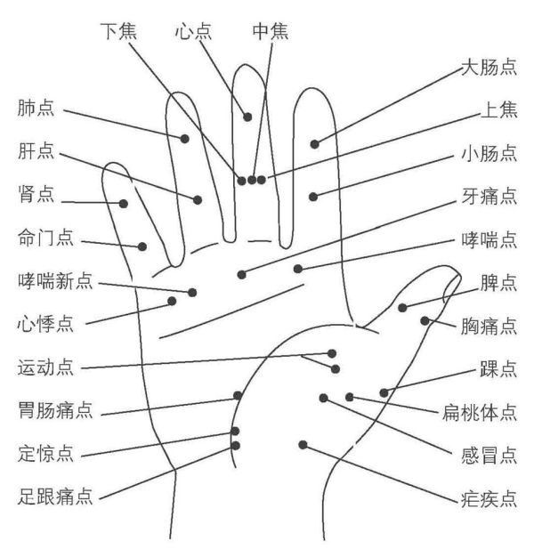 手掌病理反应点