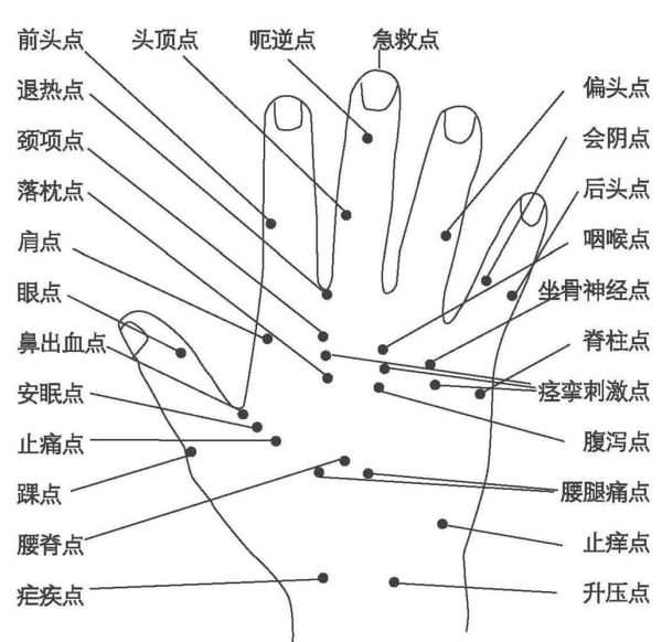 手掌病理反应点