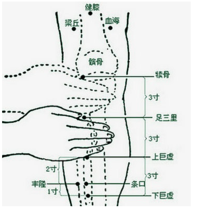 十二个穴道，几乎可以治疗全身所有的疾病！