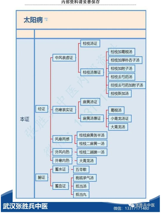 张胜兵品《伤寒》1