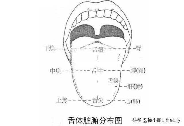 中医大师六十年舌诊经验总结